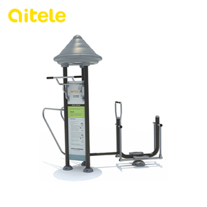 Luxury Fitness Equipment FS-21603