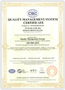  <span style="color:#666666;"><span style="font-size:18px;"><strong>Quality Management System</strong></span></span> 