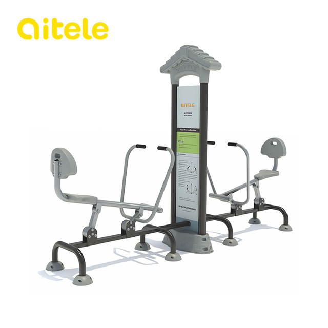 Luxury Fitness Equipment FS-21503